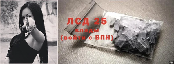 гидра Кулебаки