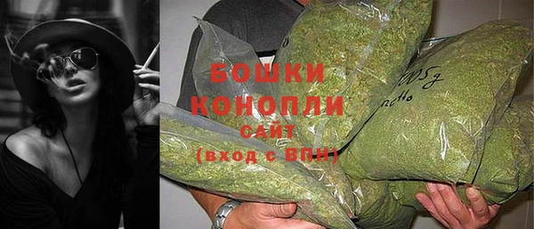 дурь Лабытнанги